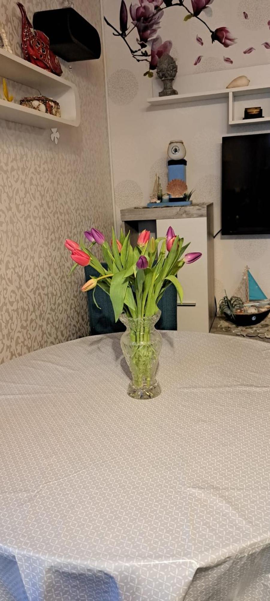 Fewo Seerose Цемпин Екстериор снимка